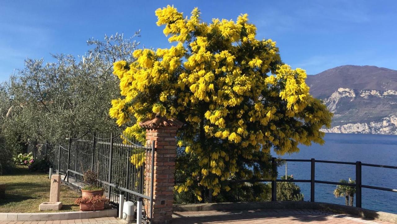 La Virgola Apartments Brenzone sul Garda Exterior photo